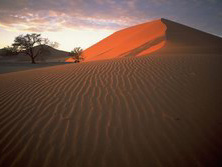 Sdliches Afrika, Namibia: Sanddne Sossusvlei der Wste Namib